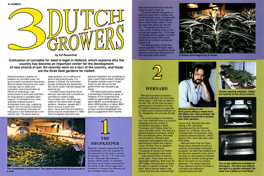 3 DUTCH GROWERS