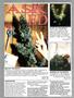 Page: - 46 | High Times