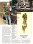 Page: - 35 | High Times