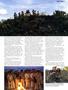 Page: - 41 | High Times