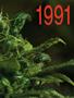 Page: - 48c | High Times