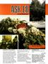 Page: - 45 | High Times