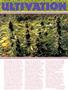 Page: - 47 | High Times