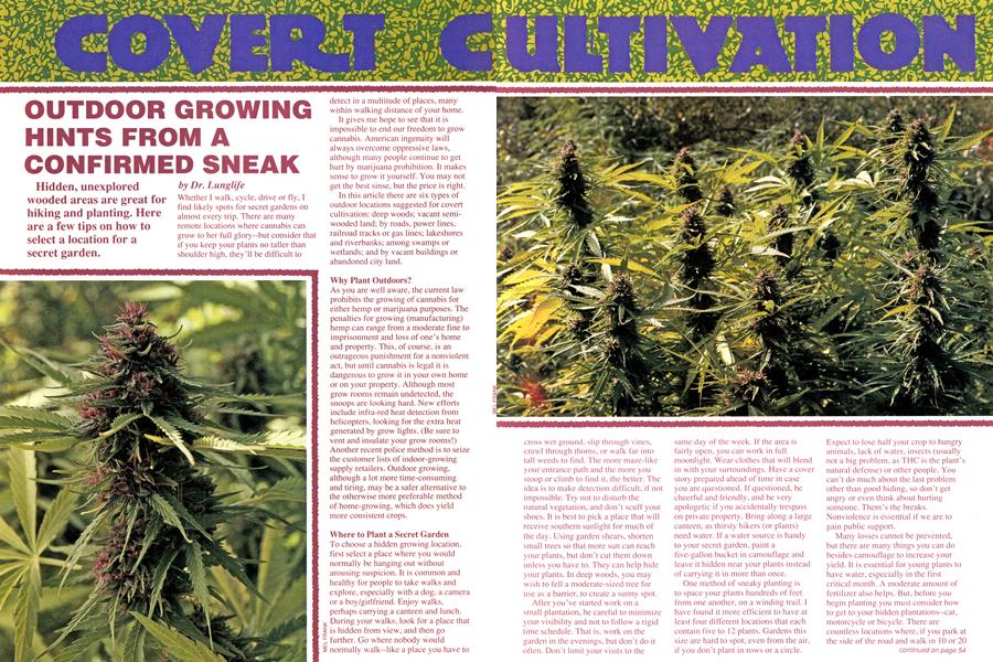 OUTDOOR GROWING HINTS FROM A CONFIRMED SNEAK
