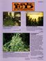 Page: - 45 | High Times