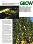 Page: - 48 | High Times