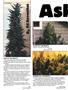 Page: - 50 | High Times