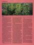 Page: - 44 | High Times