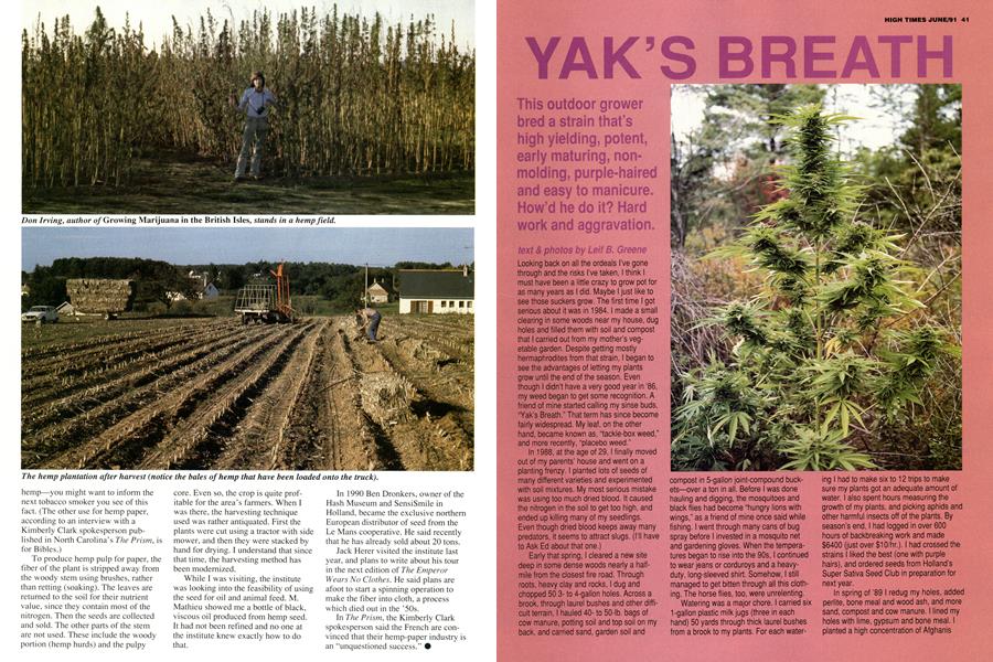 YAK'S BREATH