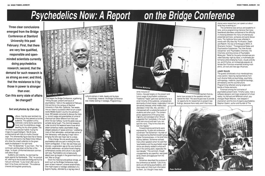 Psychedelics Now: A Report on the Bridge Conference