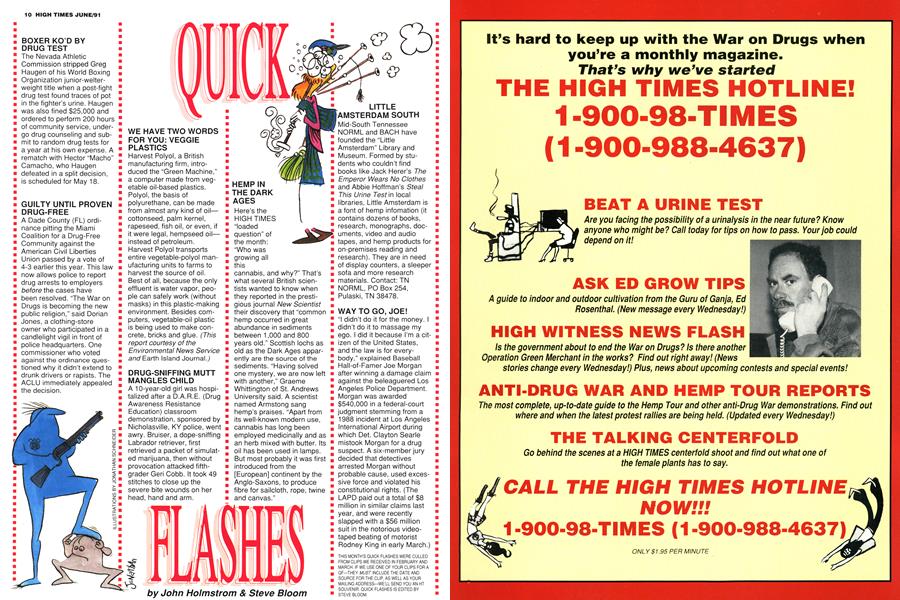 QUICK FLASHES