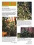 Page: - 45 | High Times