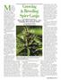 Page: - 47 | High Times