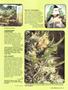 Page: - 49 | High Times
