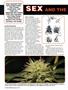 Page: - 42 | High Times
