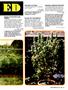 Page: - 45 | High Times
