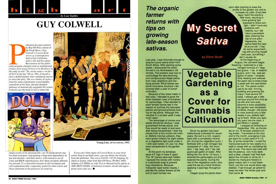 My Secret Sativa