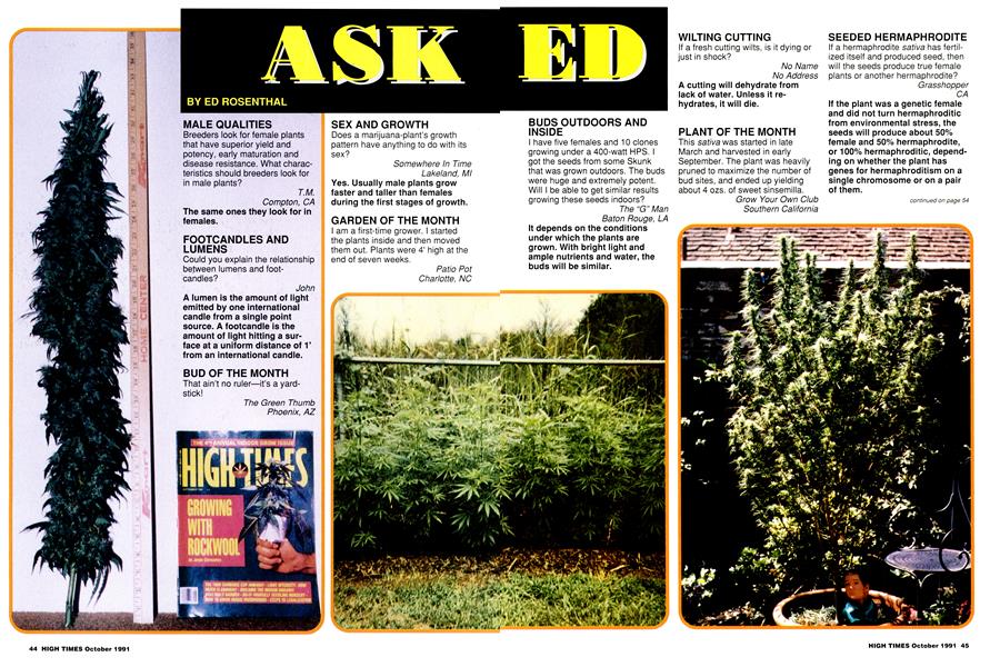 ASK ED