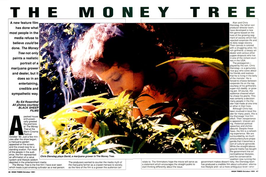 THE MONEY TREE