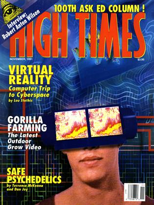 NOVEMBER, 1991 | High Times