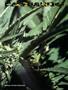 Page: - 43 | High Times