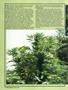 Page: - 44 | High Times