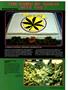 Page: - 49 | High Times