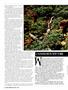 Page: - 36 | High Times