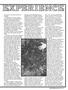 Page: - 51 | High Times