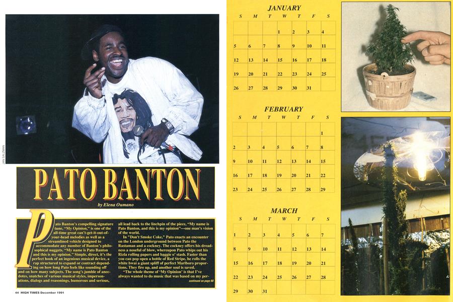 PATO BANTON