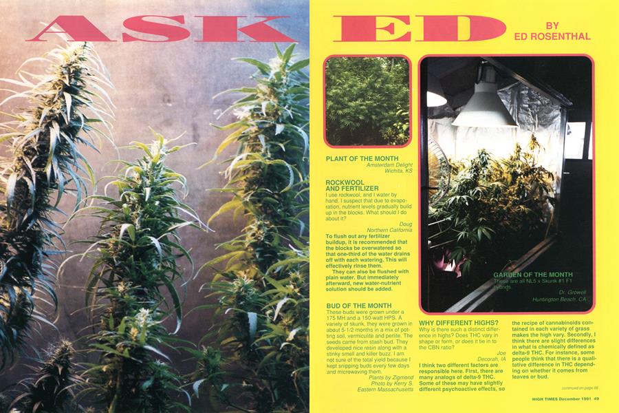ASK ED