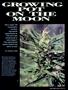 Page: - 45 | High Times
