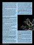 Page: - 46 | High Times