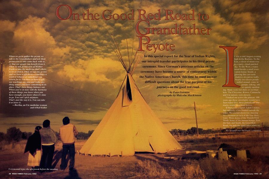 On the Good Red Road to Grandfather Peyote