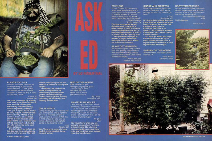 ASK ED