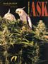 Page: - 46 | High Times