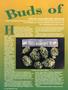 Page: - 48 | High Times