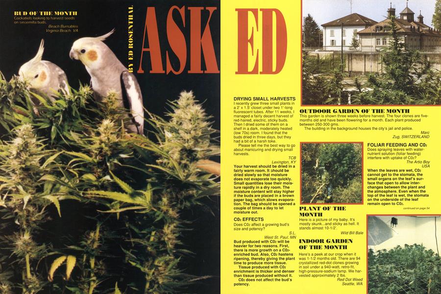 ASK ED