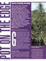 Page: - 46 | High Times