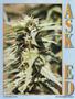 Page: - 48 | High Times
