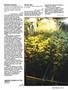 Page: - 47 | High Times
