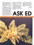 Page: - 49 | High Times