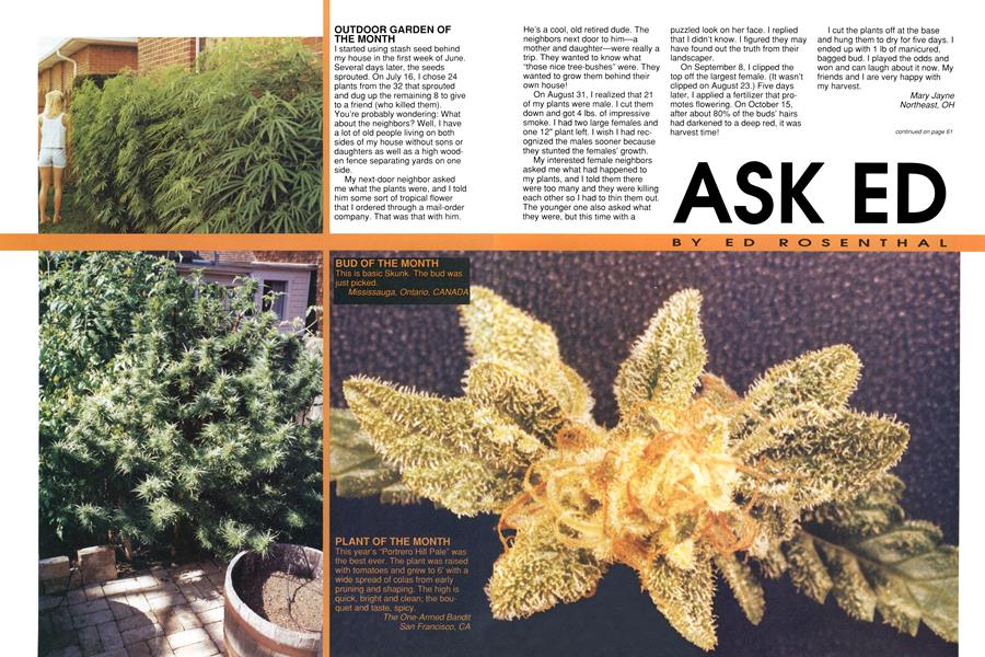 ASK ED