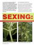Page: - 48 | High Times