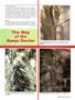 Page: - 49 | High Times