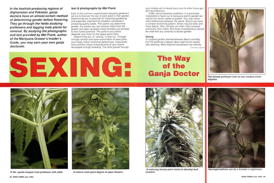 The Way of the Ganja Doctor