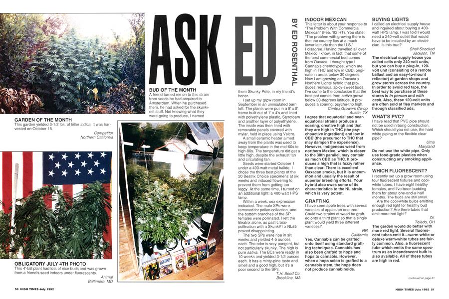 ASK ED