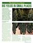 Page: - 45 | High Times