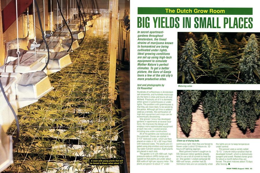 BIG YIELDS IN SMALL PLACES