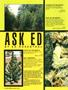 Page: - 48 | High Times